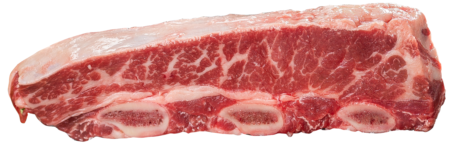 Short rib